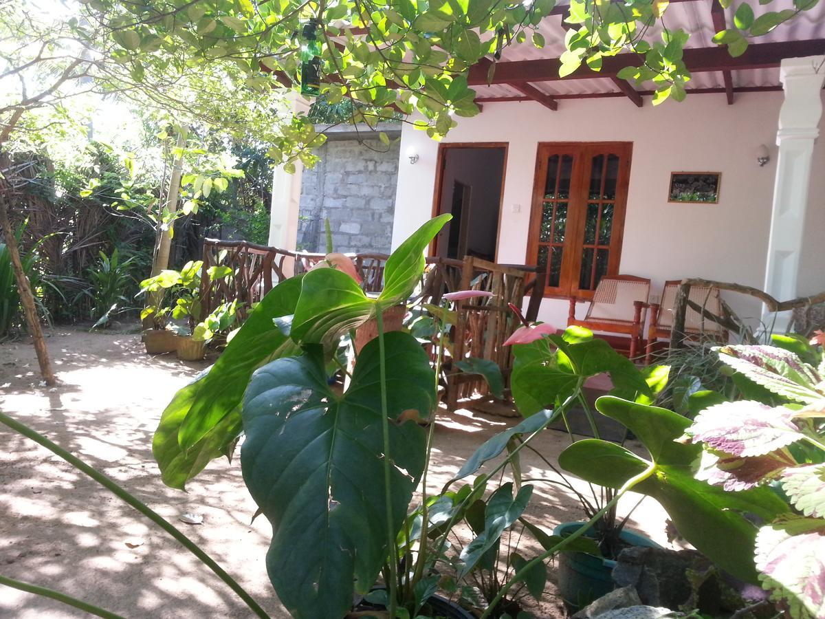 Sigiri Sansi Homestay Sigiriya Exteriör bild